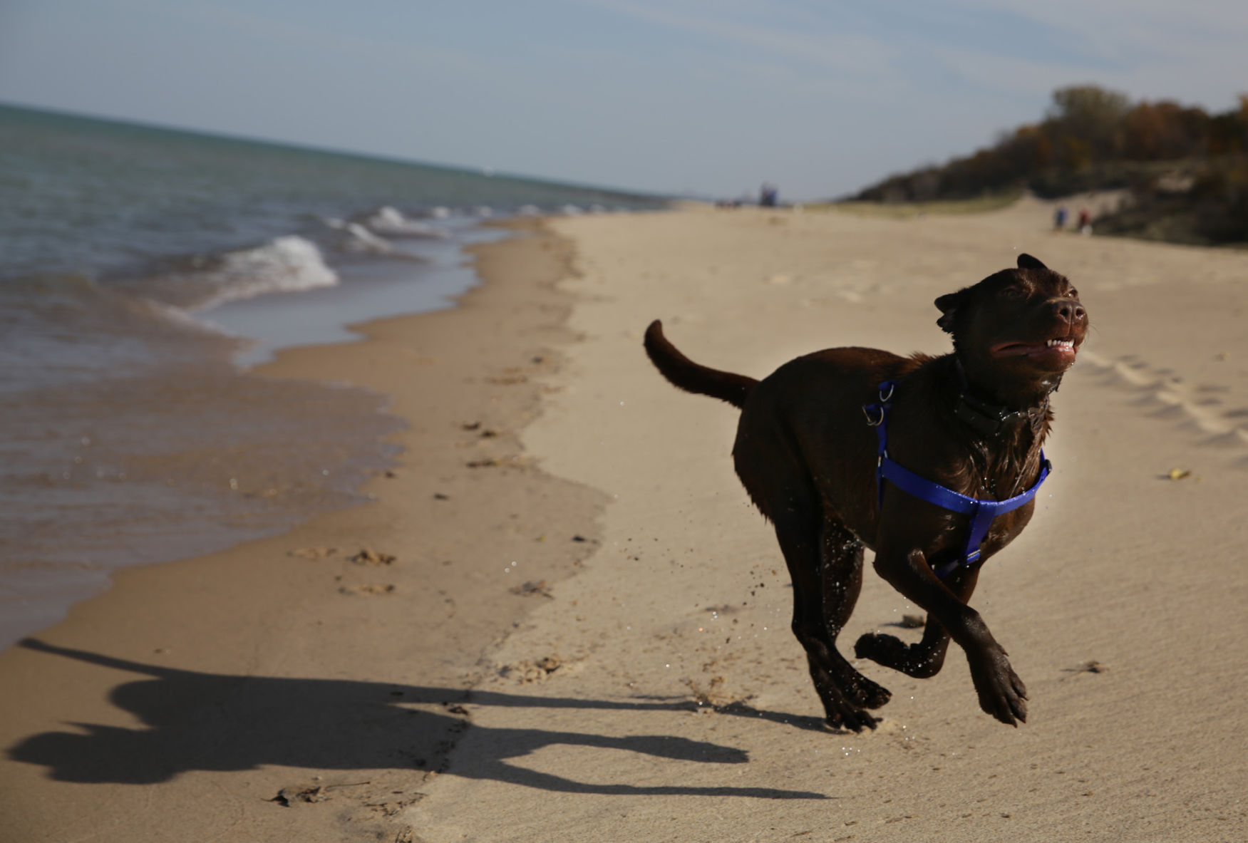 Indiana Dunes National Lakeshore